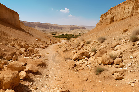 广阔无垠的岩石沙漠景观图片