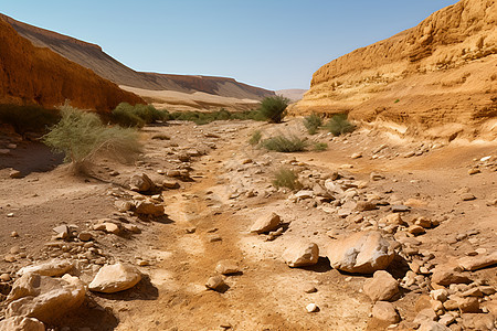 沙漠中的小径图片