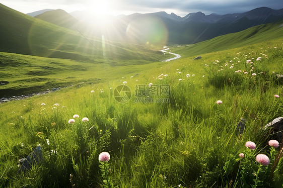 夏日山峦叠嶂花草飘香的美丽景观图片