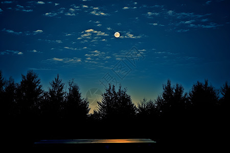 美丽的月亮夜景如画的森林背景