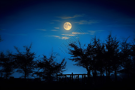 夜晚桥上的月亮背景图片