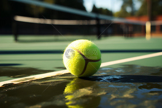 阳光下的网球园图片