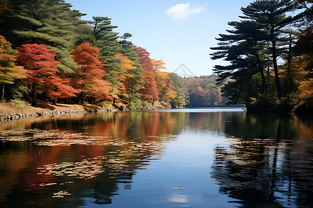秋日映照的湖泊美景背景图片