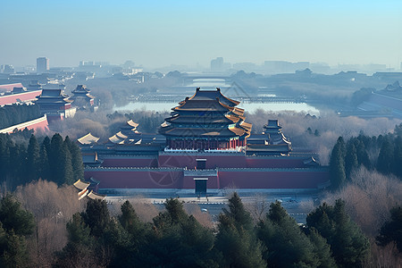 博物馆前的植物背景图片