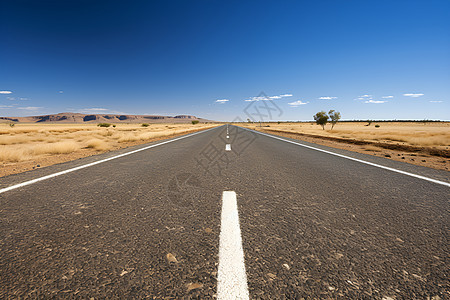 荒漠的公路图片