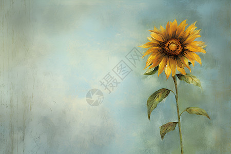 太阳花绘画背景图片