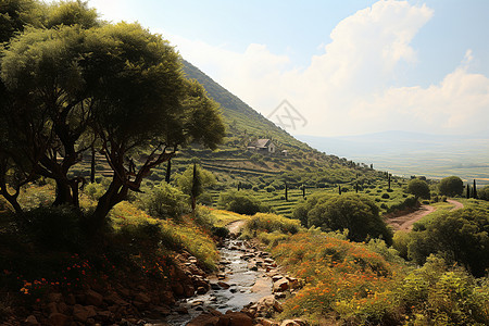 静谧山谷的美丽景观图片