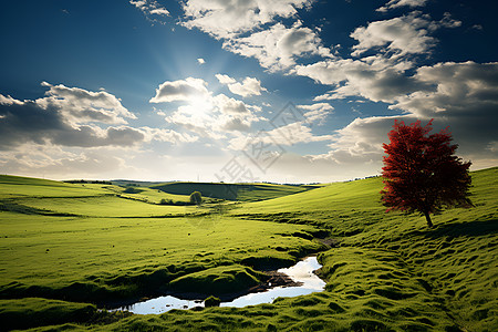 草坪上的清澈溪流背景图片