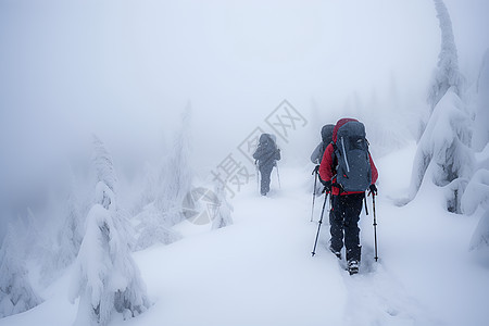 雪地上的滑雪男性图片