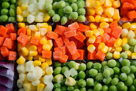 蔬菜粒拼盘图片