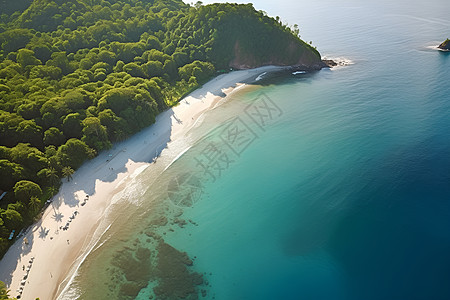 沙滩海水美丽的热带岛屿背景