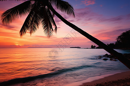 热带海岛的黄昏图片