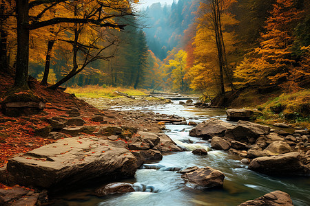 秋日的山谷河流图片