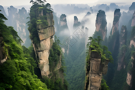 户外广告牌远山苍翠峡谷薄雾背景