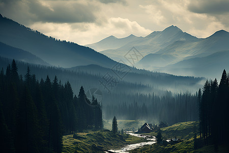 雾气森林山谷林间背景