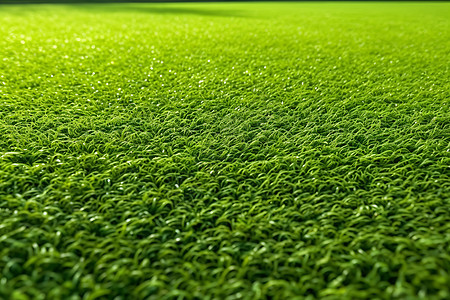 人工合成的绿色草坪图片