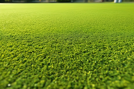 绿草如茵的足球场图片