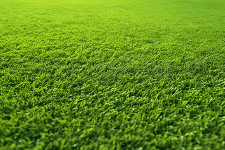 人工制造的绿色草坪高清图片