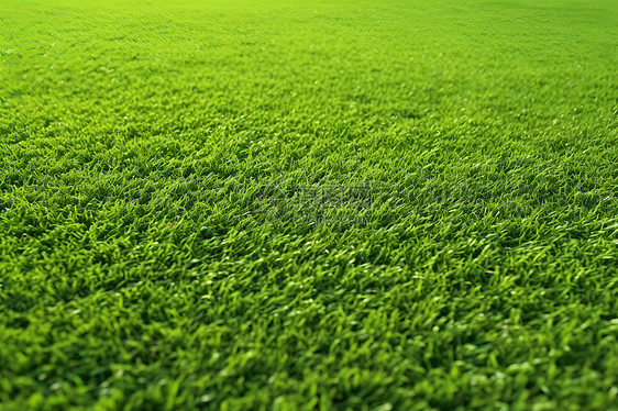 人工制造的绿色草坪图片