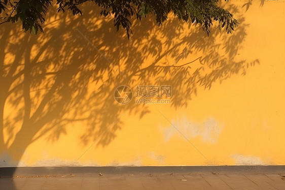 黄墙上的树影图片