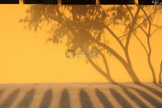 黄墙上树的影子图片