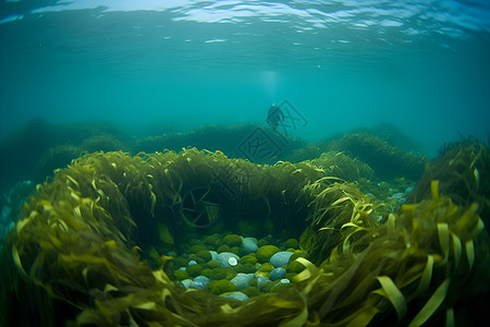 海底海藻海洋之旅背景