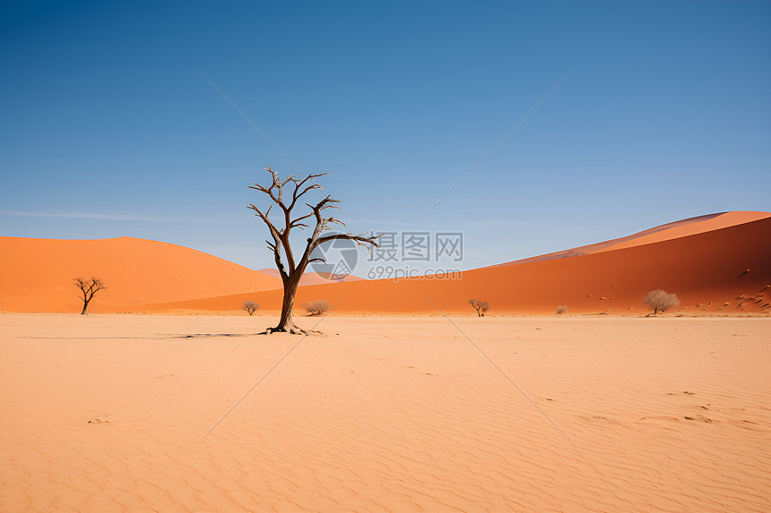 著名的撒哈拉沙漠图片