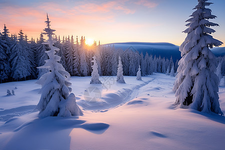 冬日林间的雪山图片