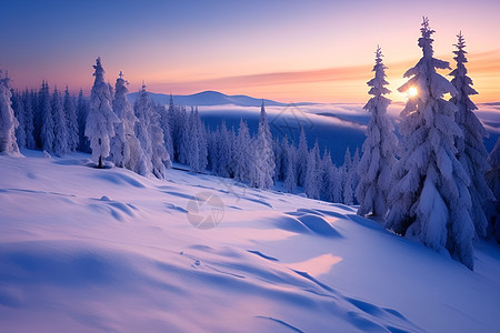 冬日林间雪山图片