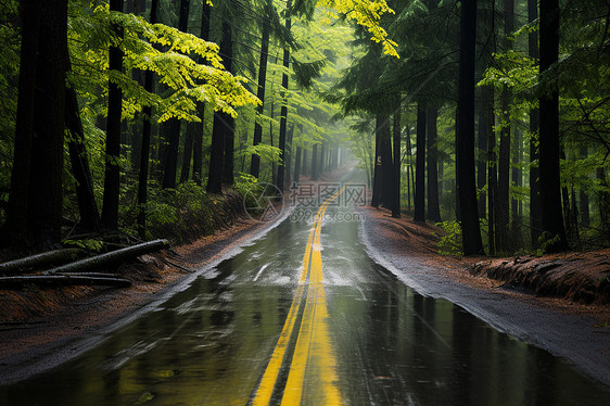 雨中公路图片