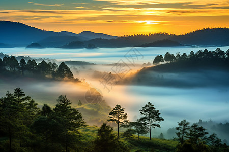 山野风光迷雾弥漫背景