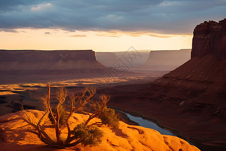 壮观的沙漠景观图片