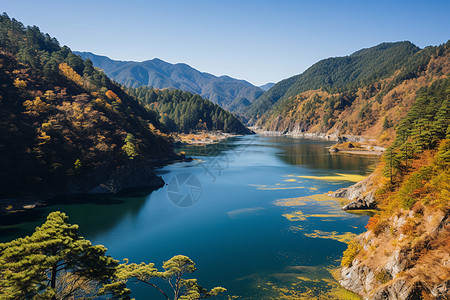秋日湖畔背景图片