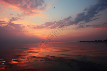 夕阳映照在水面上图片