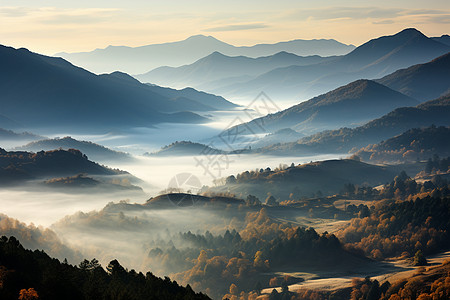 山谷迷雾中的美景图片