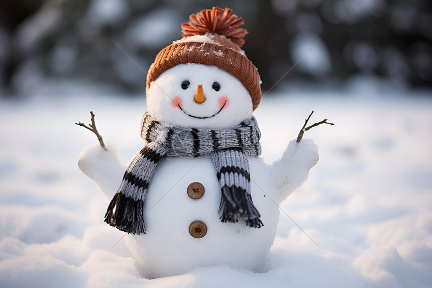 冬季乐趣的雪人图片