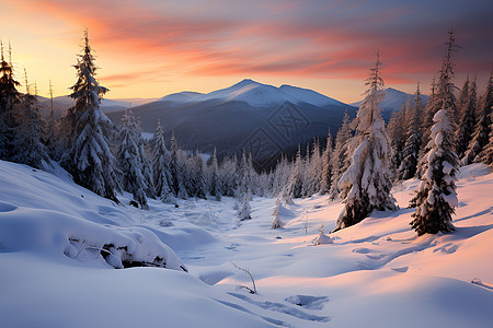 冬日夕阳下的雪山图片