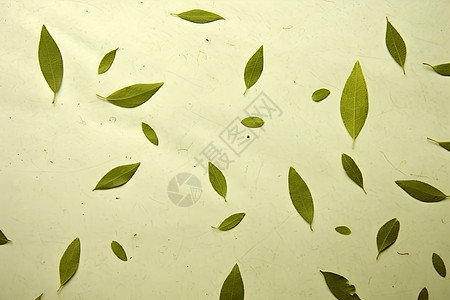 手工制作的叶子背景图片