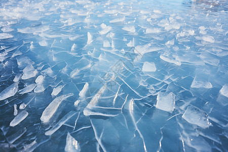 冰湖的浮冰图片