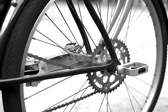 自行车之轮图片