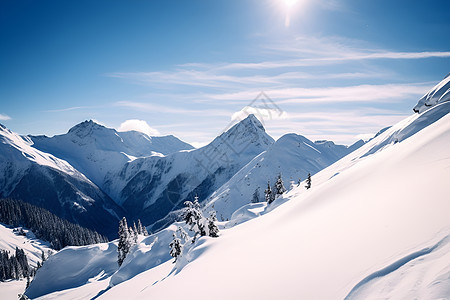 冰雪满山阳光明媚图片