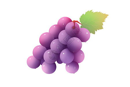 水果插画紫色葡萄和绿色叶子插画