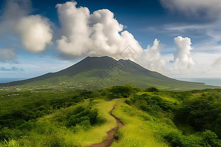 热带山林风景背景图片