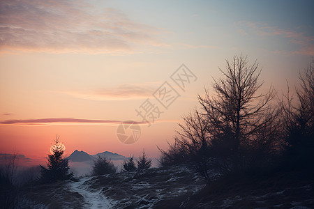 雪地夕阳图片