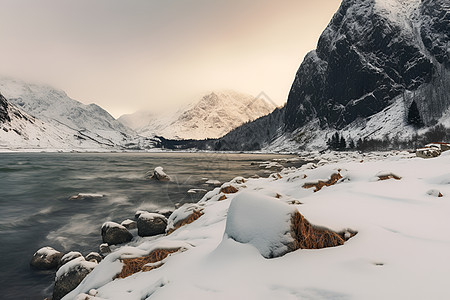 冰雪中的壮丽景色图片