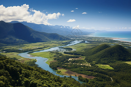 航拍花海山水之美背景