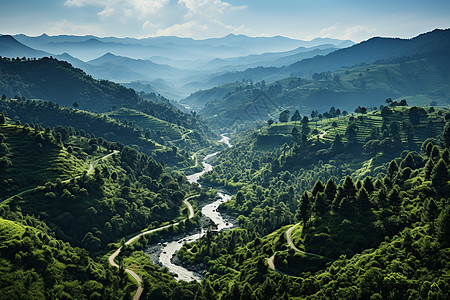 郁郁葱葱的夏季山林景观图片