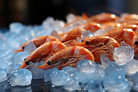 冰块上的海鲜大虾图片
