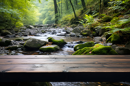 河边石头河边森林中的小桥背景