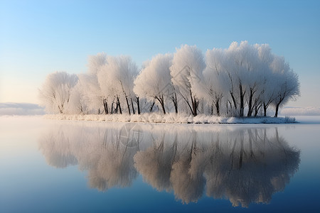 湖边的冰雪树林图片